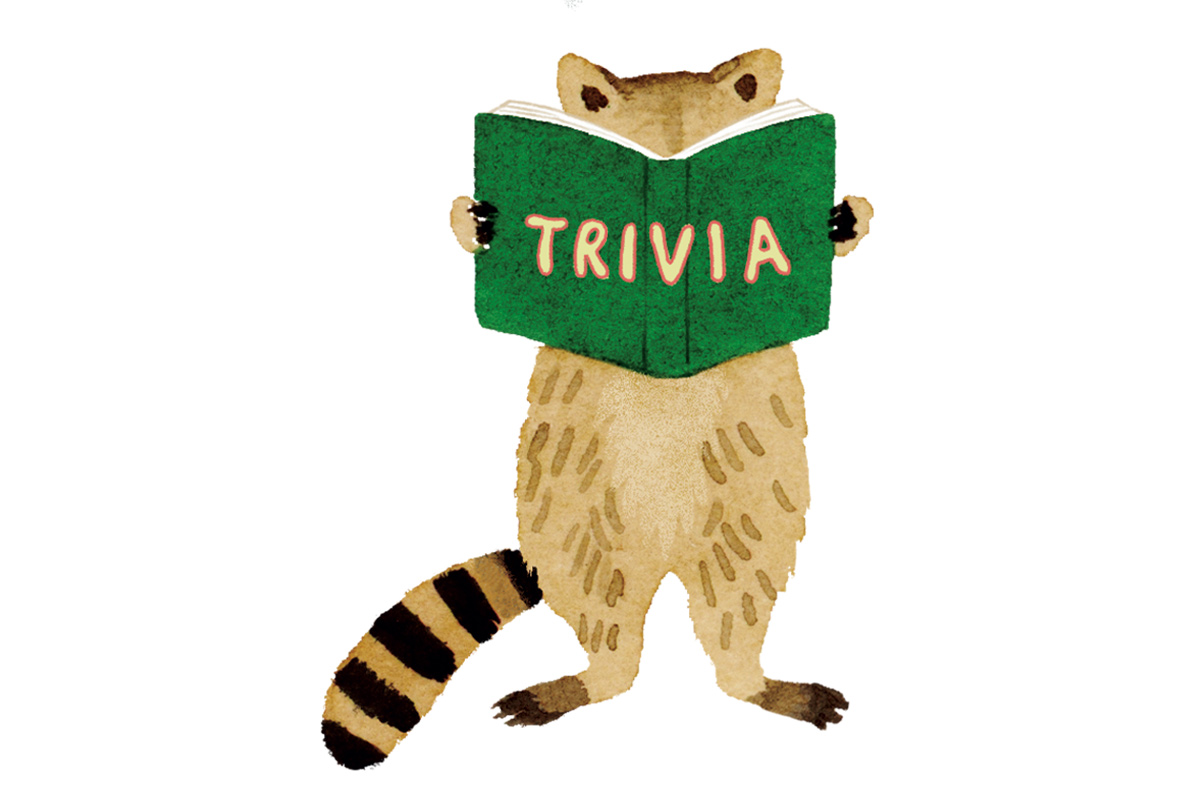 絶対に知っておきたいお洗濯のコツ。準備、洗濯、乾燥のポイント9選