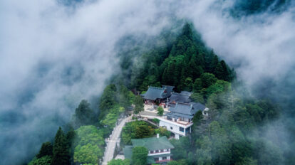 【保存版】開運のプロフェッショナルが厳選！ 2026年、全国の行くべき神社19選