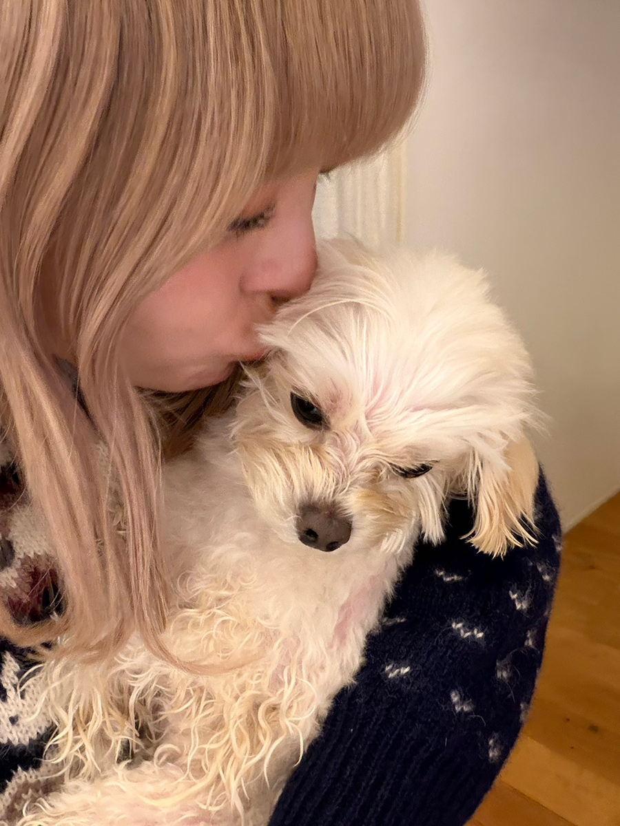 きゃりーぱみゅぱみゅと犬