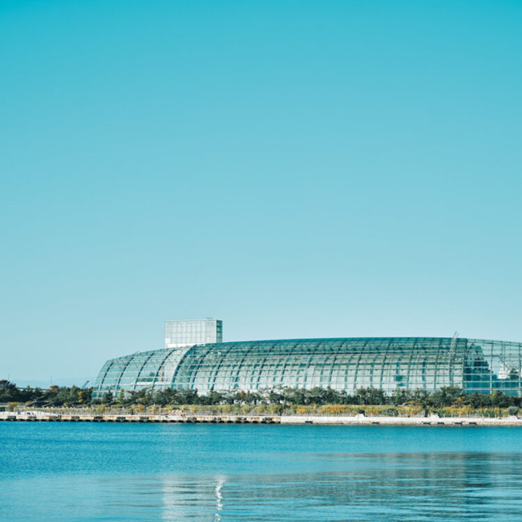 【福島】遊、買、食欲を満たす旅スポット26選｜水族館、人情味あふれる会津若松エリア、福島駅周辺のお散歩スポットほか