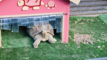 神話の地・宮崎の“本当の魅力”は？ 県民が教える「これぞ王道！」な厳選3スポット。