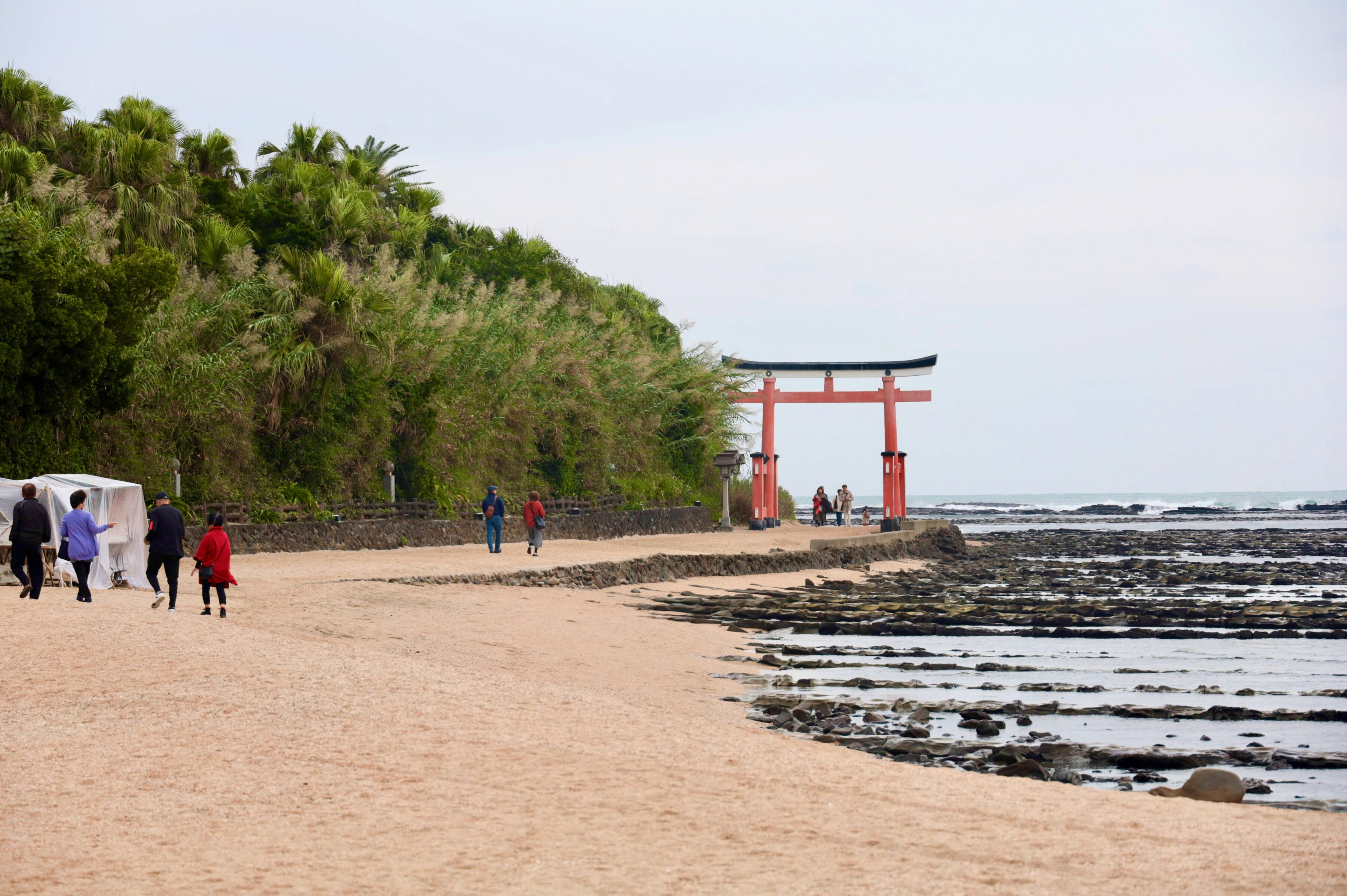 神話と自然が溶け合う宮崎らしさの原点。〈青島神社〉