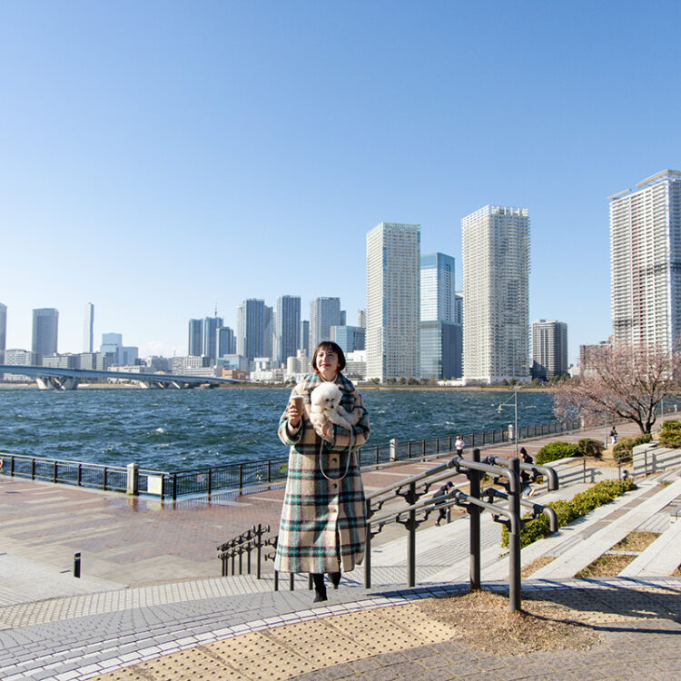 写真右側に3分咲きの桜が点在している。 写真右側に3分咲きの桜が点在している。