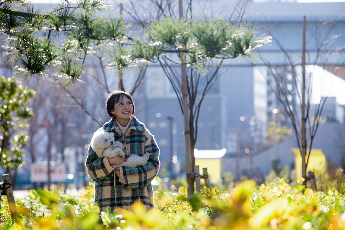 有明親水海浜公園で犬を散歩させる女性