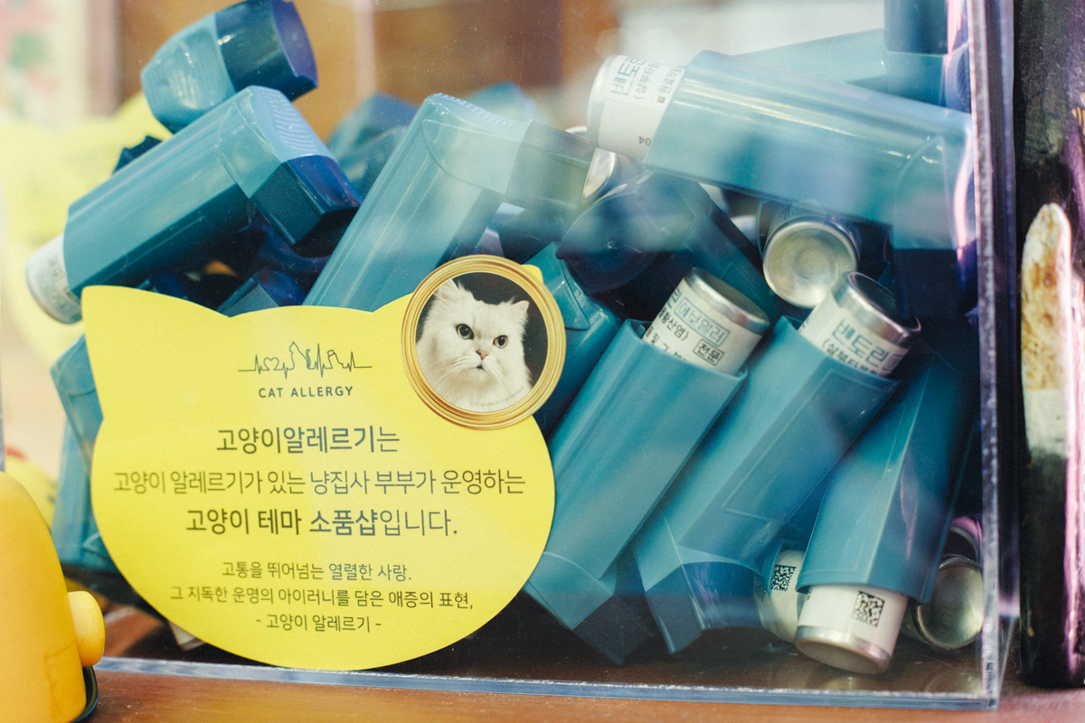 “コヤンイアレルギー”店主の愛のかたち。〈コヤンイ アレルギー〉　ソウルの猫グッズ専門店