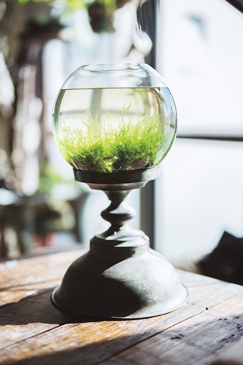 アクセサリー作家山本亜由美の家