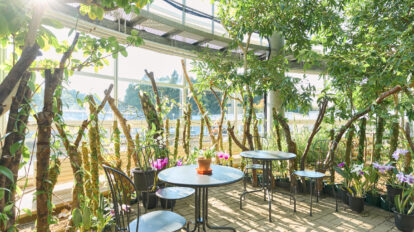 知的好奇心を刺激！学びプログラムが充実している宿8選【東日本編】