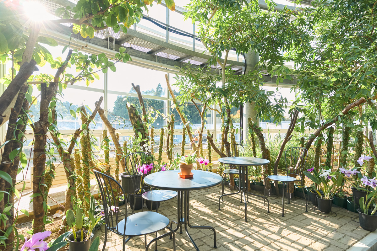 知的好奇心を刺激！学びプログラムが充実している宿8選【東日本編】