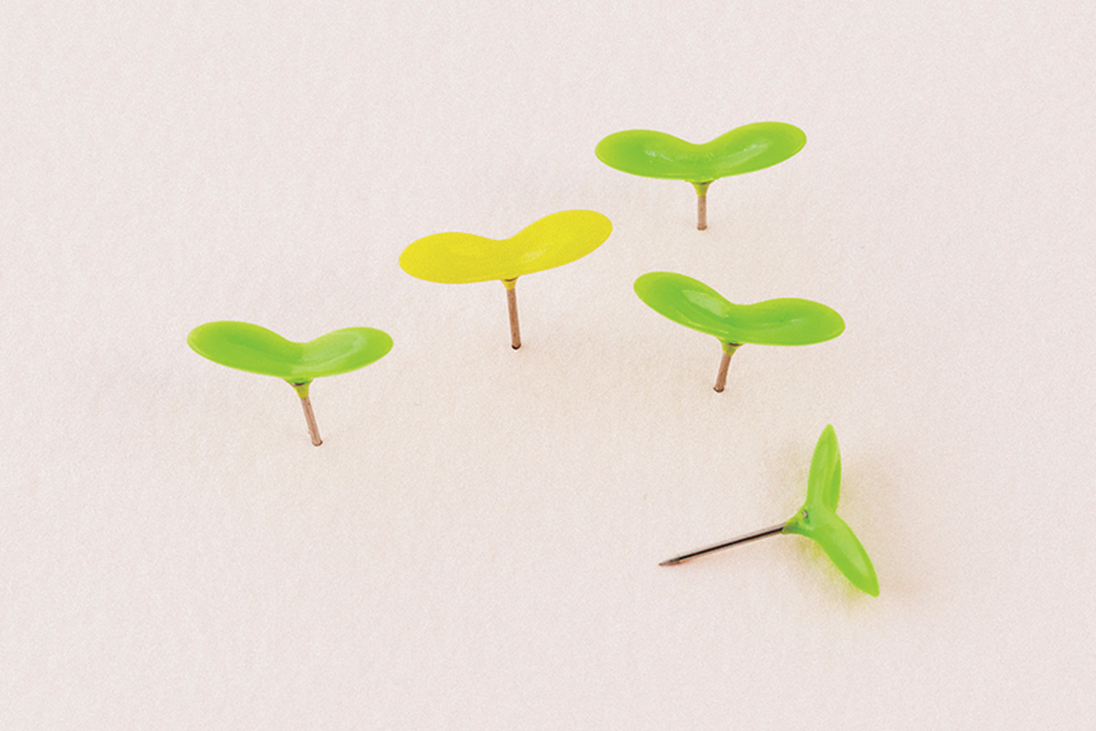 〈KONCENT〉の「新芽のようなプッシュピン」