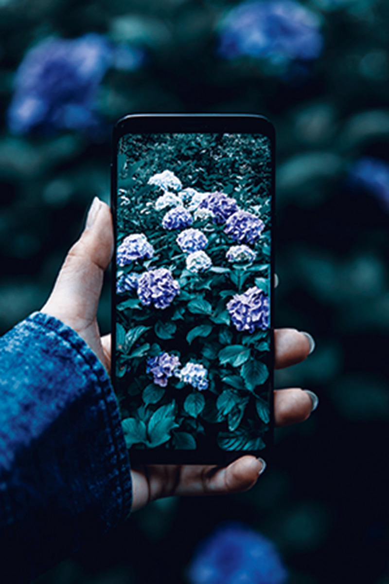 写真を上手に撮るために欠かせないポイント