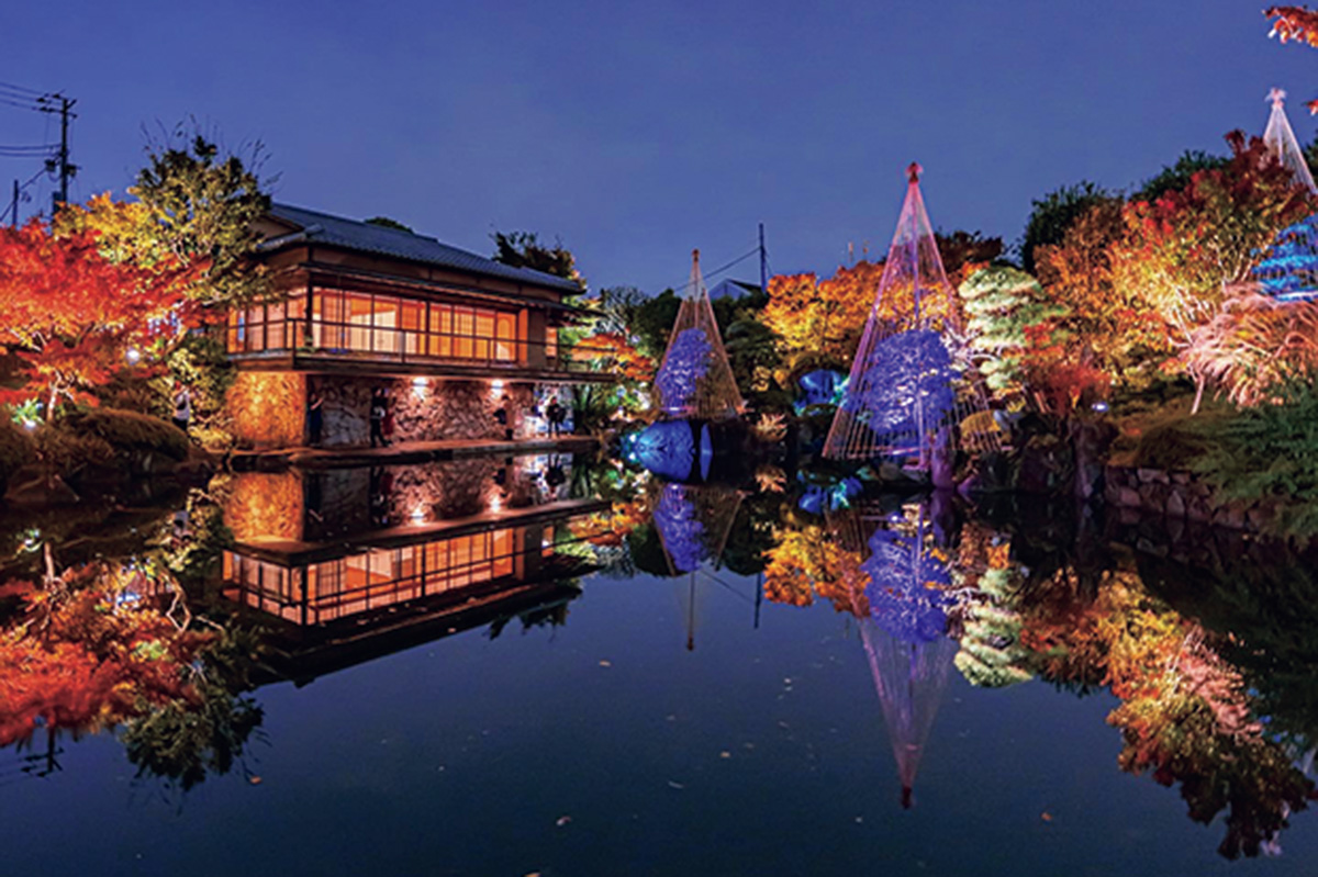 写真を上手に撮るために欠かせないポイント