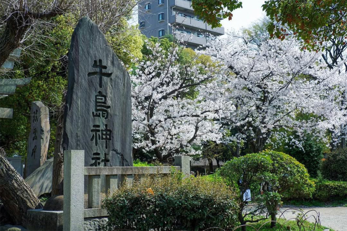 牛嶋神社 下町開運さんぽ 東京お花見