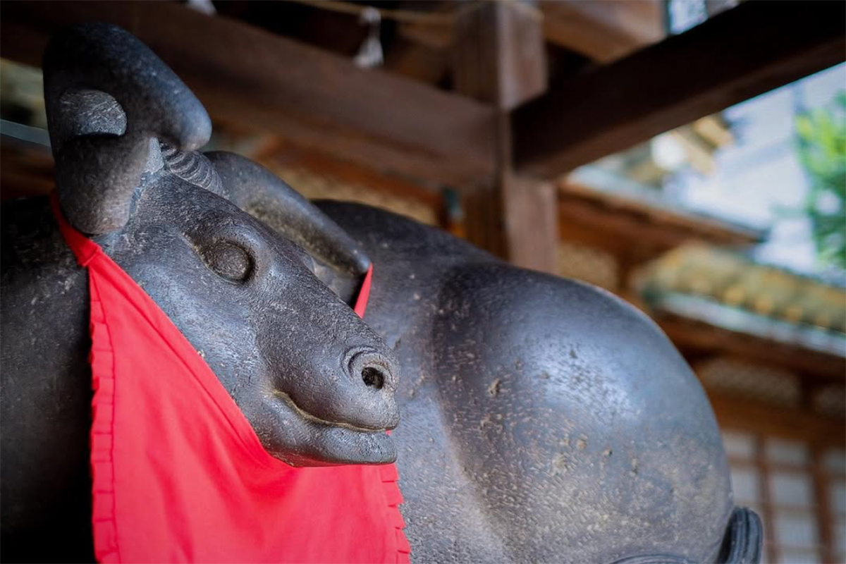 牛嶋神社 下町開運さんぽ 東京お花見