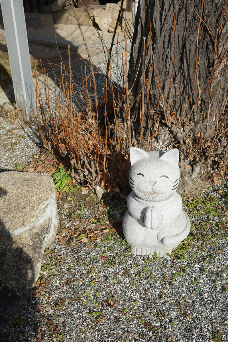 児玉雨子の「ひとくち分の街の記憶」＃13「行きたいところに出会いに行こう」――香川・直島の芸術と海に触れる