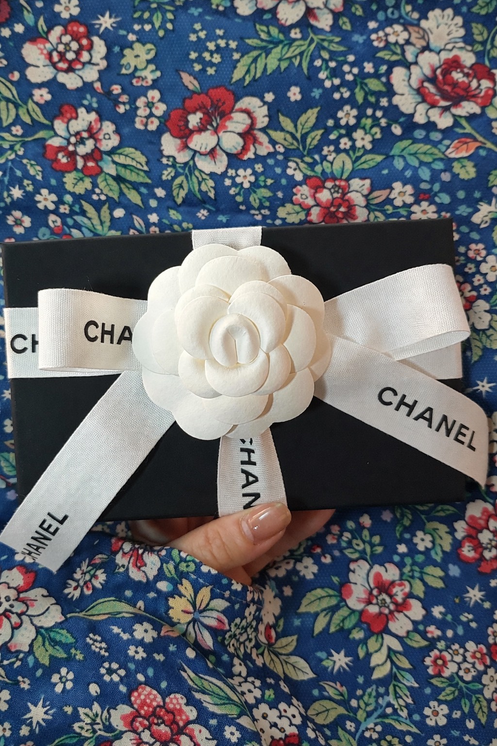 きゃりーぱみゅぱみゅ連載