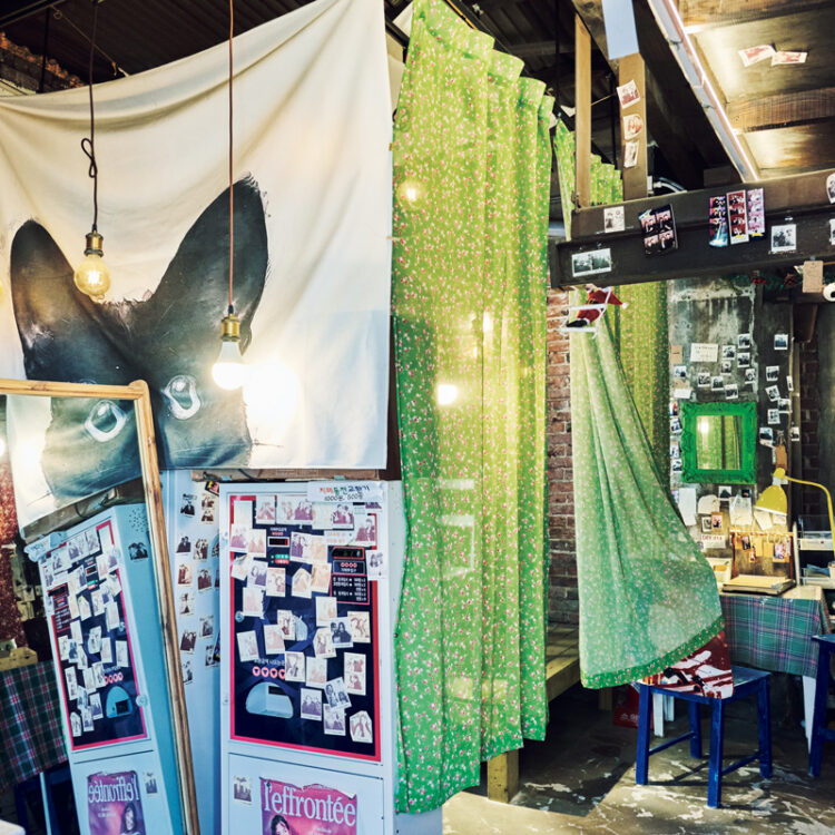 思い出は写真と猫への愛があふれるレトロ写真館で。〈フォトマーケット〉