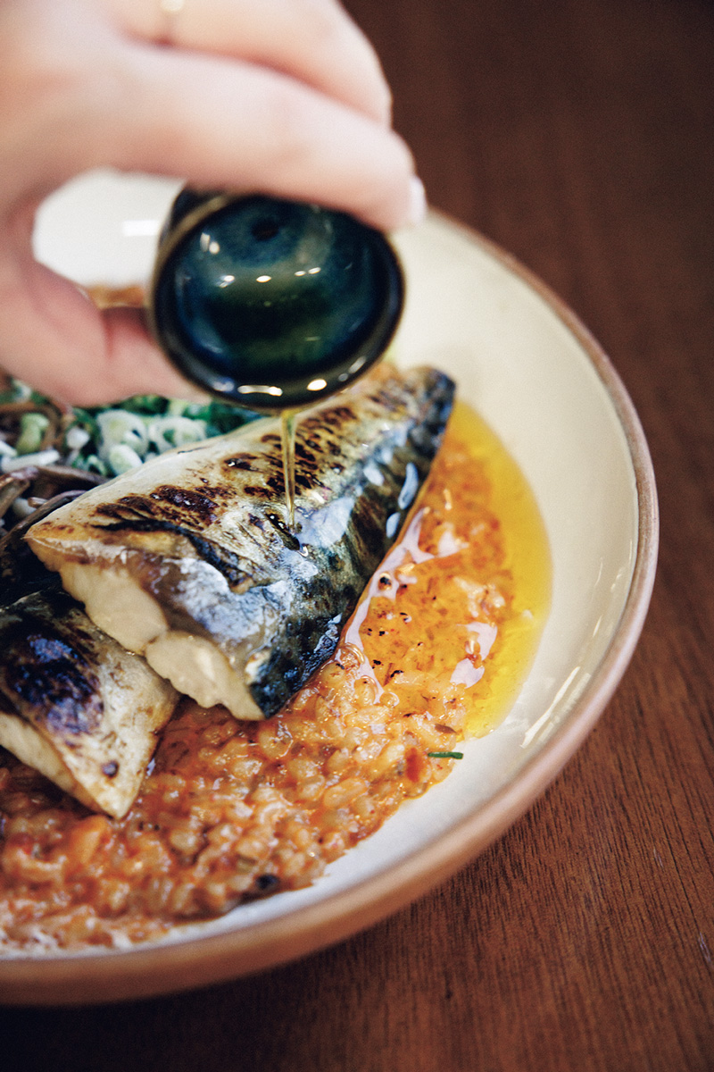 トレンド発信地にオープン! 油がテーマの最旬レストラン。〈チンチョンユジョム〉の「サバとわらびのリゾット エゴマ油がけ」