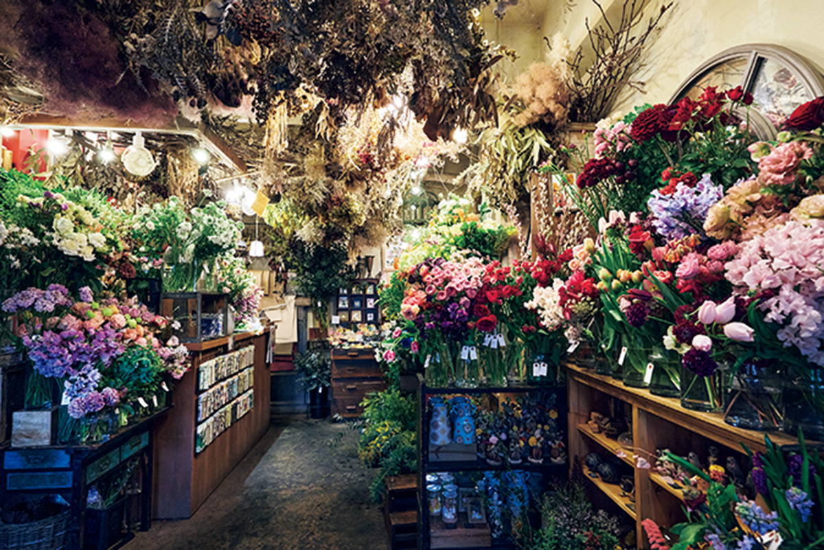 ジャルダンノスタルジック