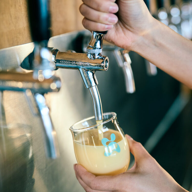 釜山のクラフトマッコリ