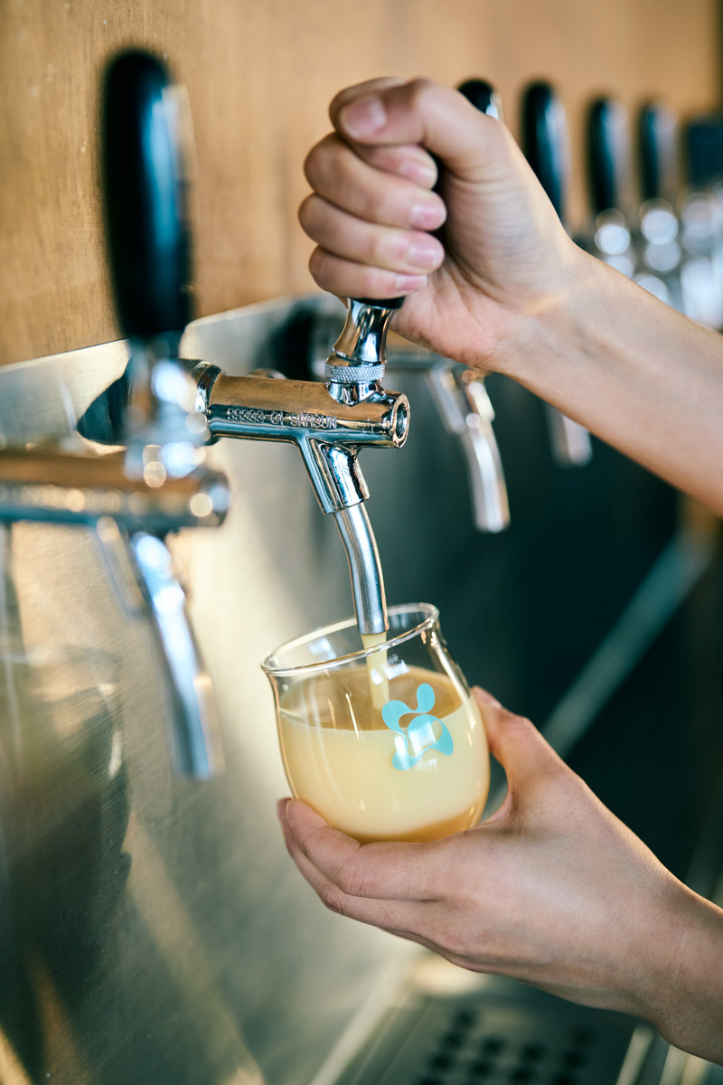 【2026最新】韓国・釜山でしか飲めない。クラフトマッコリとビールのお店2選