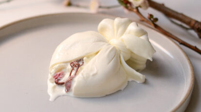 ツレヅレハナコさんに聞いた、最高に春を感じる至福のおつまみBEST3