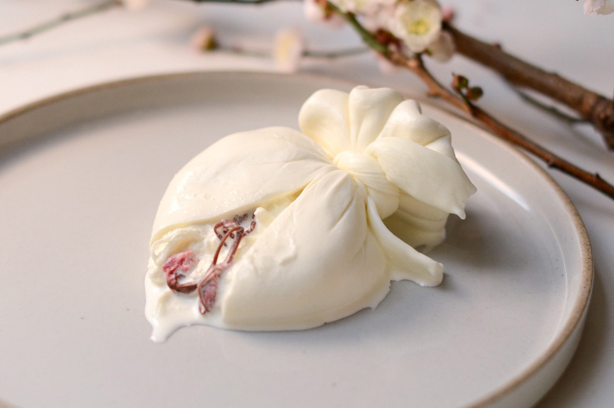 ツレヅレハナコさんに聞いた、最高に春を感じる至福のおつまみBEST3