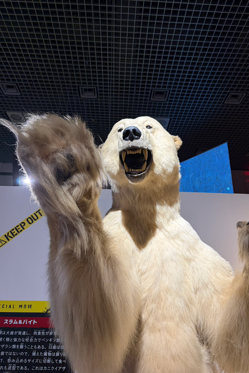 きゃりーぱみゅぱみゅ　保護者会でしくじった話