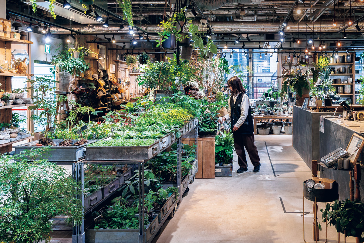 大人のニーズに応える、洗練された園芸店。〈garage TOKYO〉　銀座で選ぶ観葉植物