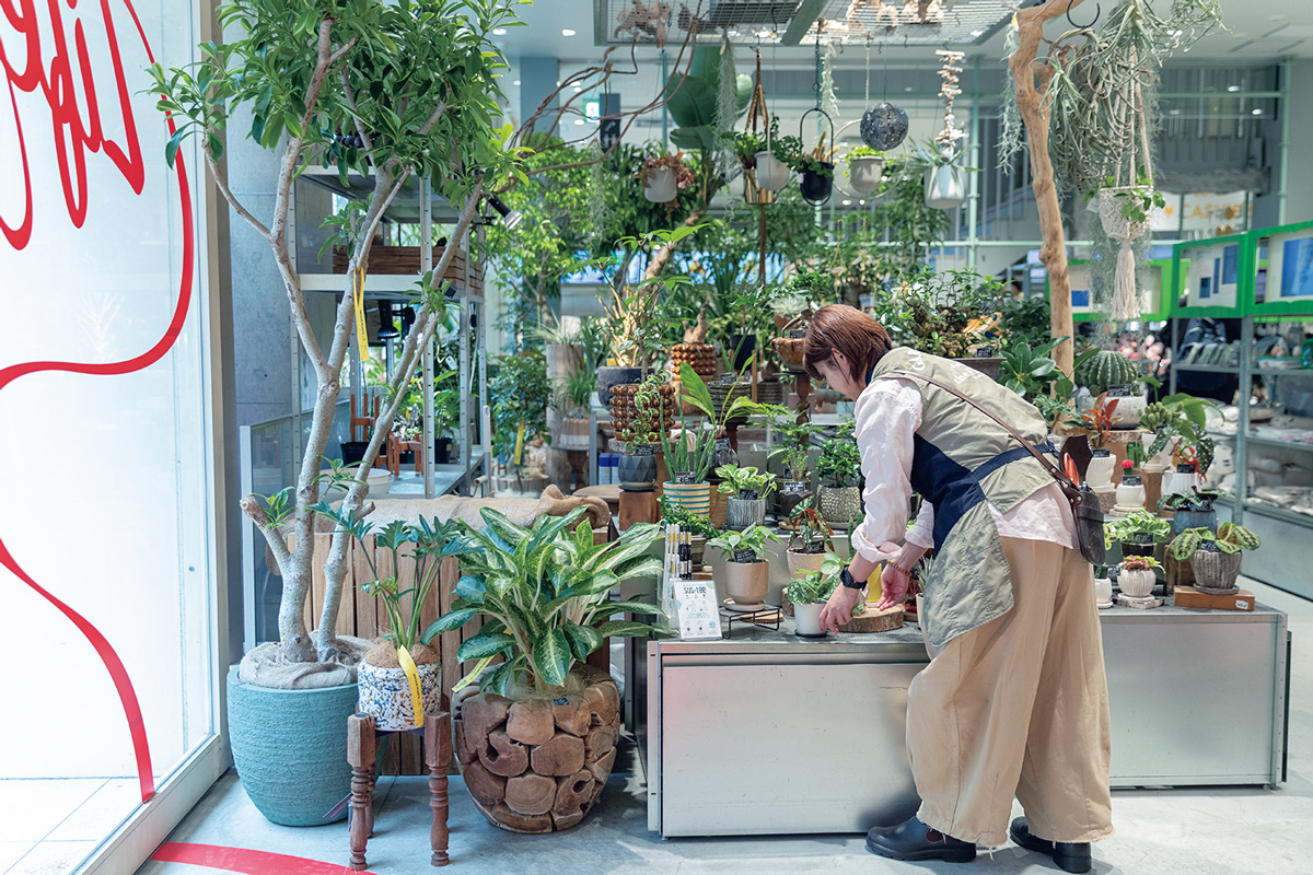 南国のグリーン×多彩な鉢を楽しむ。〈the Farm UNIVERSAL Ginza〉　銀座で選ぶ観葉植物