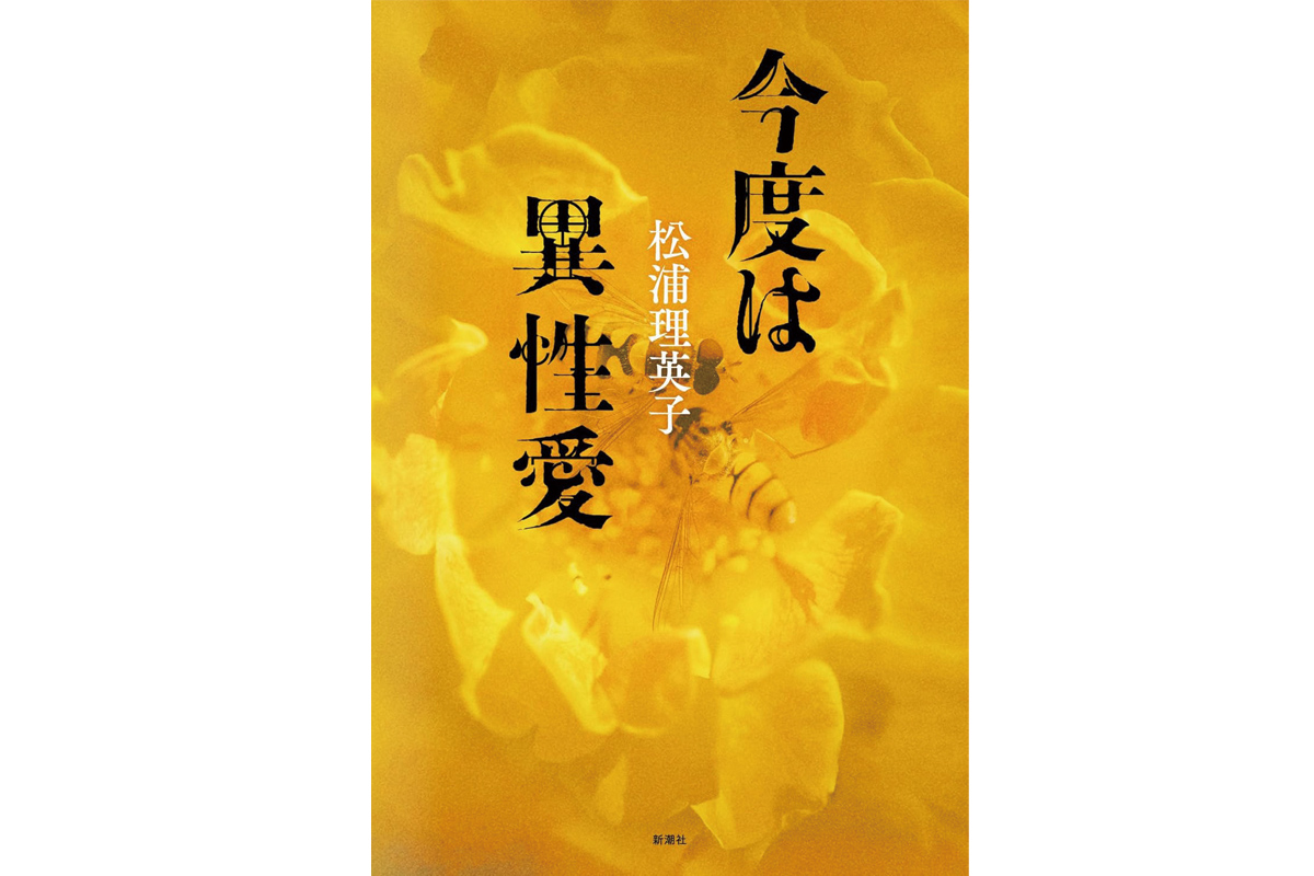 BLと異性愛小説の創作から浮かぶ女の困難と欲望。『今度は異性愛』松浦理英子