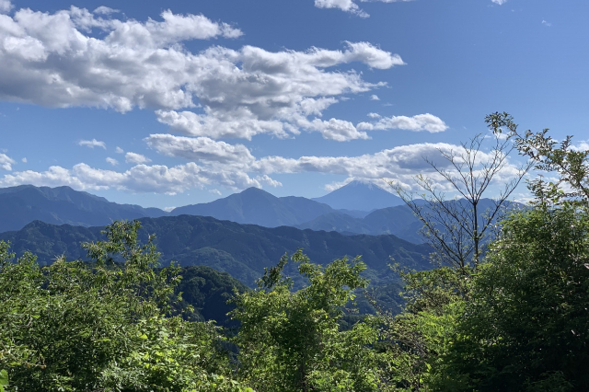 高尾山薬王院　登山　開運