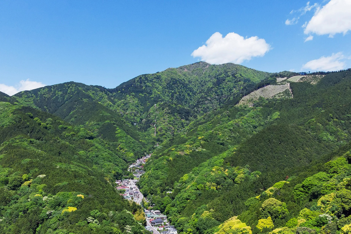 大山阿夫利神社　夏　登山　開運