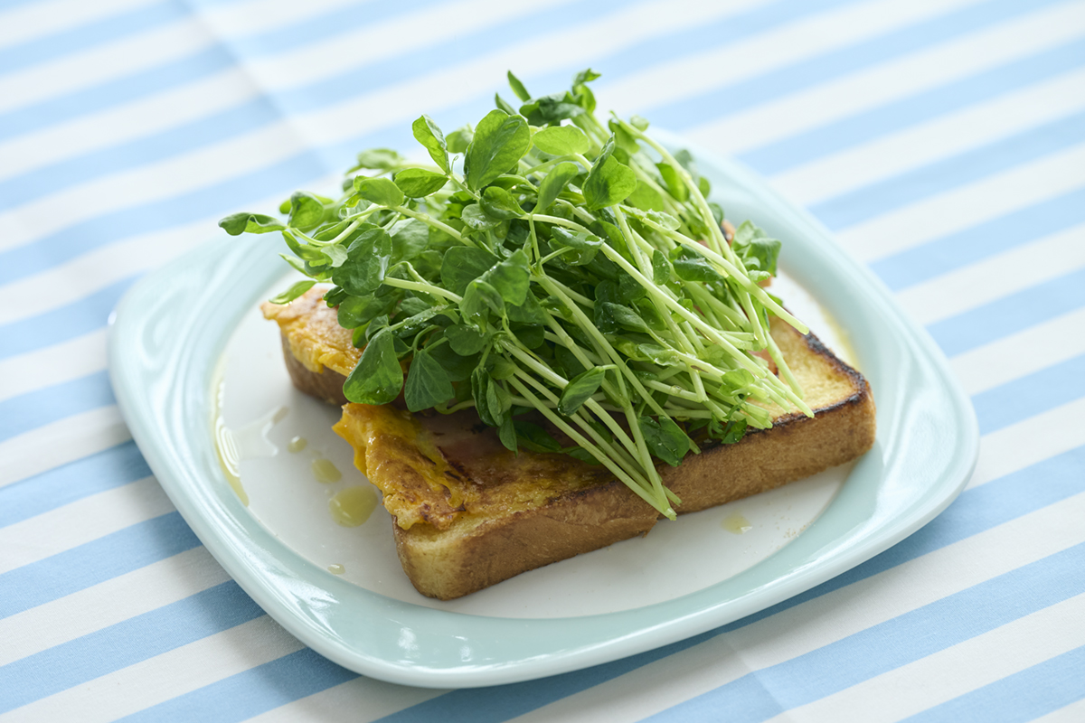【豆苗レシピ】5分で完成！食べたら沼る絶品トースト