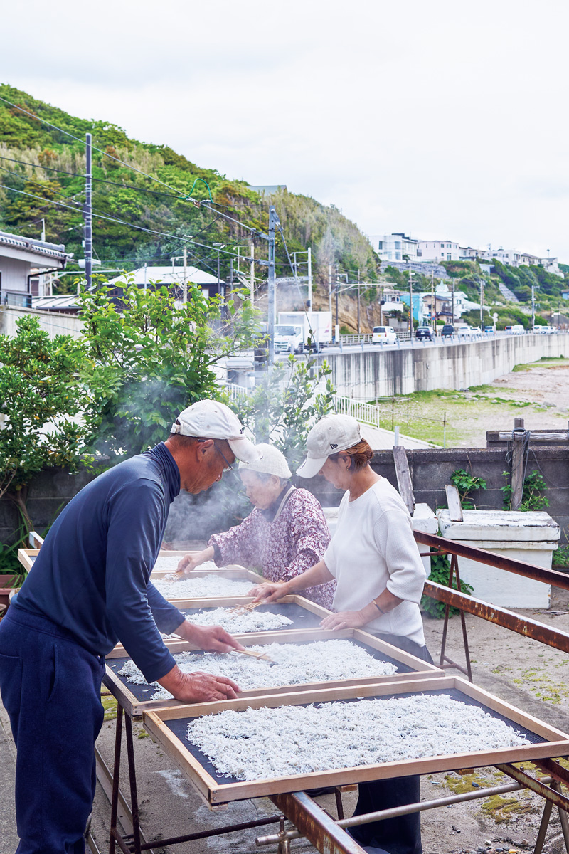 腰越にある〈金子丸直売所〉。しらす漁から加工、販売までを一貫して行う。 腰越にある〈金子丸直売所〉。しらす漁から加工、販売までを一貫して行う。