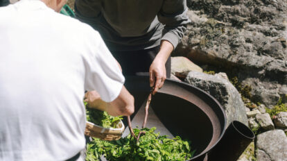 おいしいお茶はどうやってできる？島根・柿木村で受け継がれる「釜炒り茶」を訪ねて。