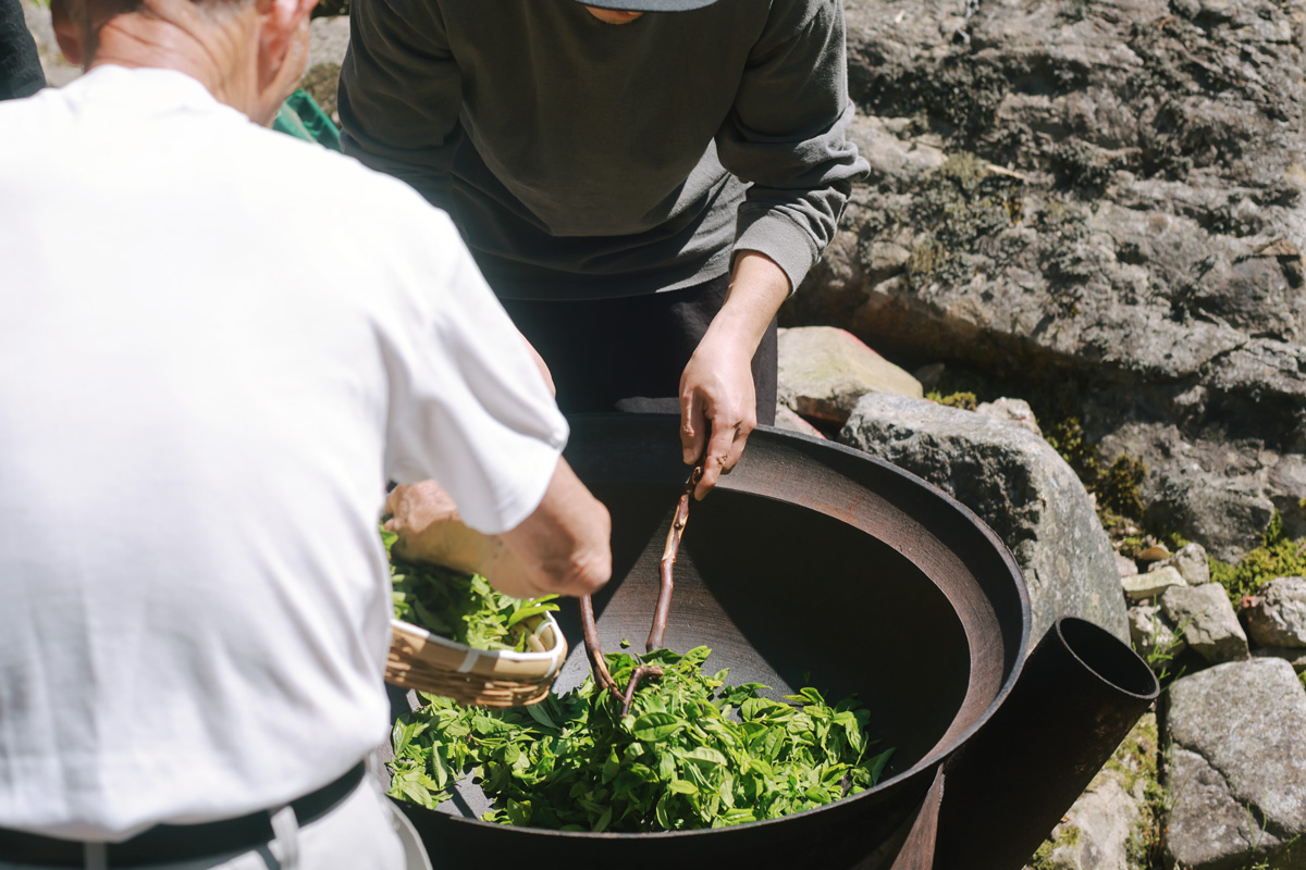 おいしいお茶はどうやってできる？島根・柿木村で受け継がれる「釜炒り茶」を訪ねて。