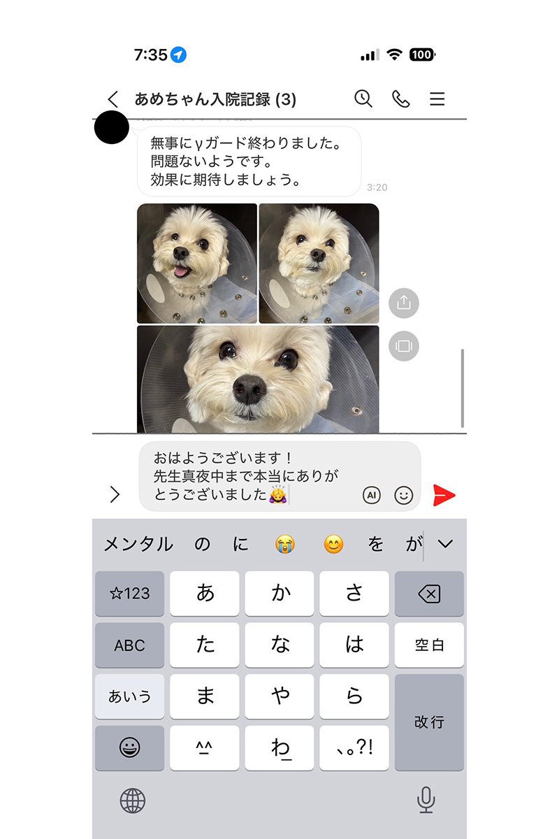 きゃりーぱみゅぱみゅ　愛犬