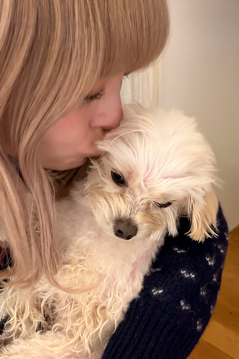 きゃりーぱみゅぱみゅ　愛犬