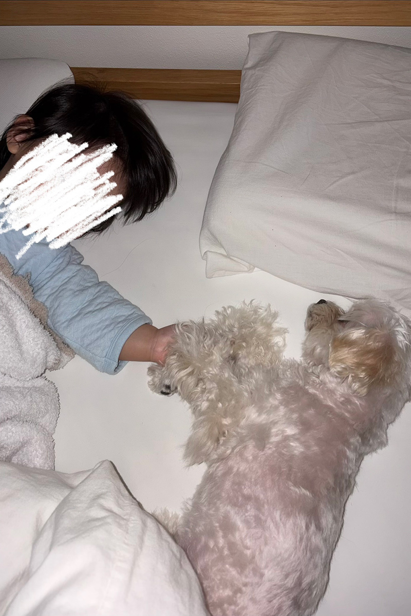 きゃりーぱみゅぱみゅ　愛犬