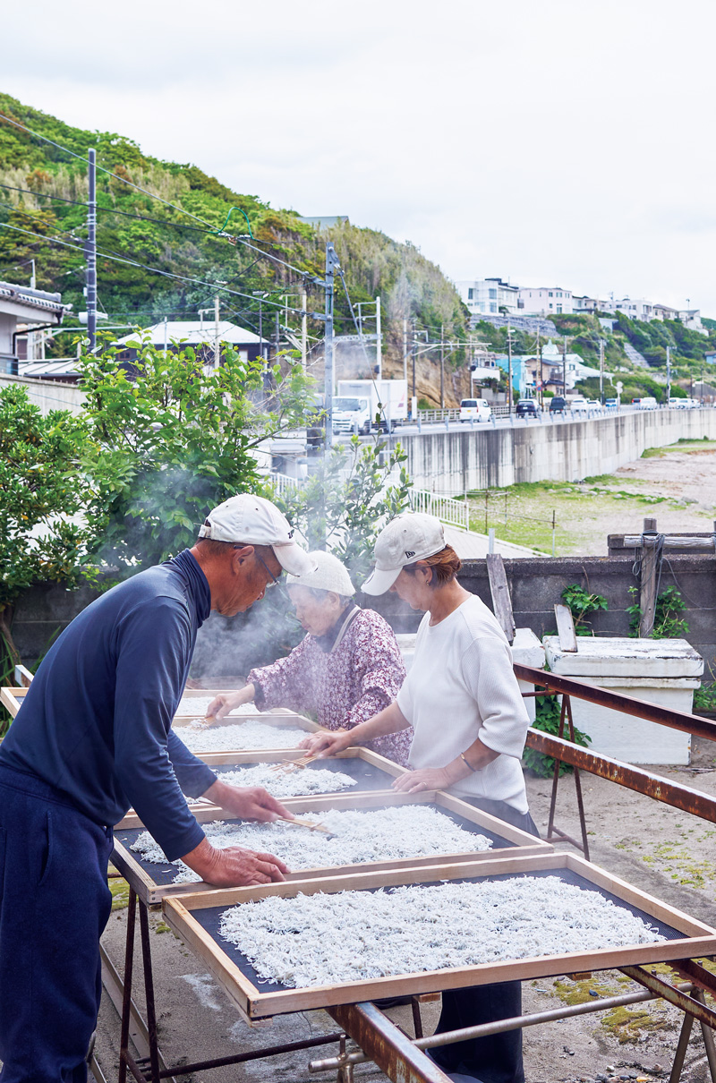 干し加減にこだわり、ふかふかとした食感に。〈金子丸直売所〉　鎌倉　しらす