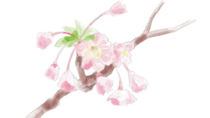 【鎌倉】光則寺のカイドウが華やか。4月に見頃を迎える「花のカレンダー」