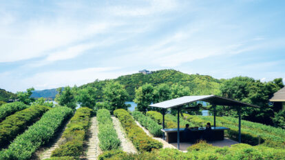 〈界 遠州〉で五感を刺激するお茶の旅へ。