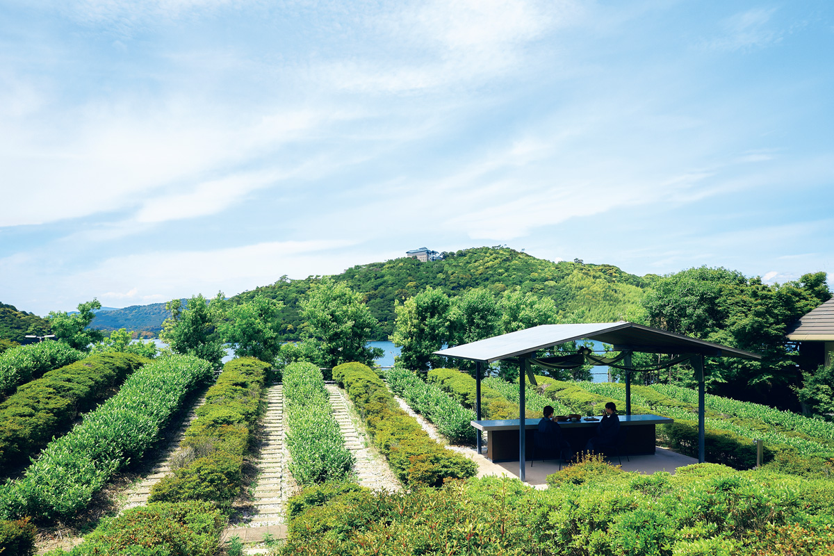 〈界 遠州〉で五感を刺激するお茶の旅へ。
