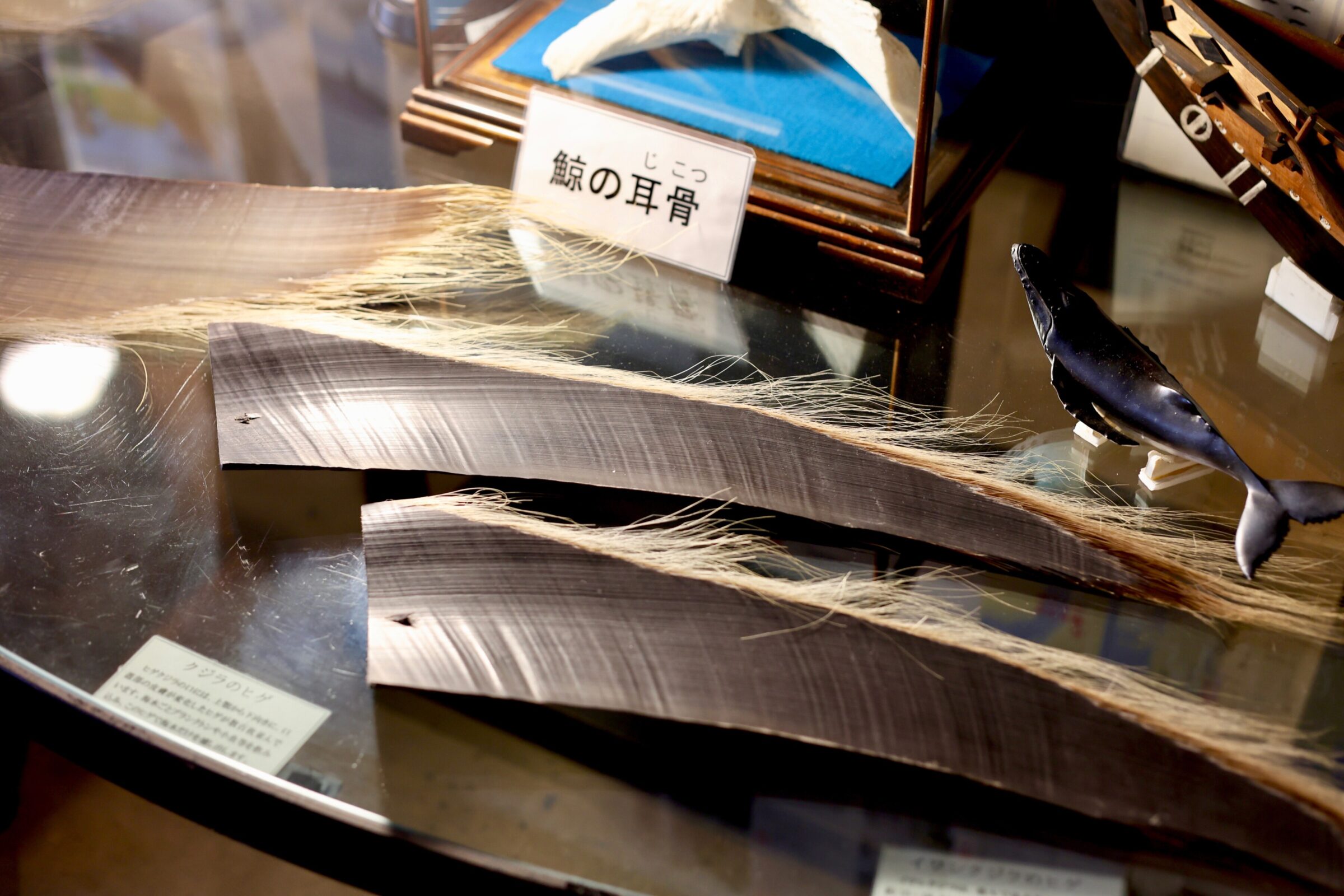〈鯨組主 中尾家屋敷〉