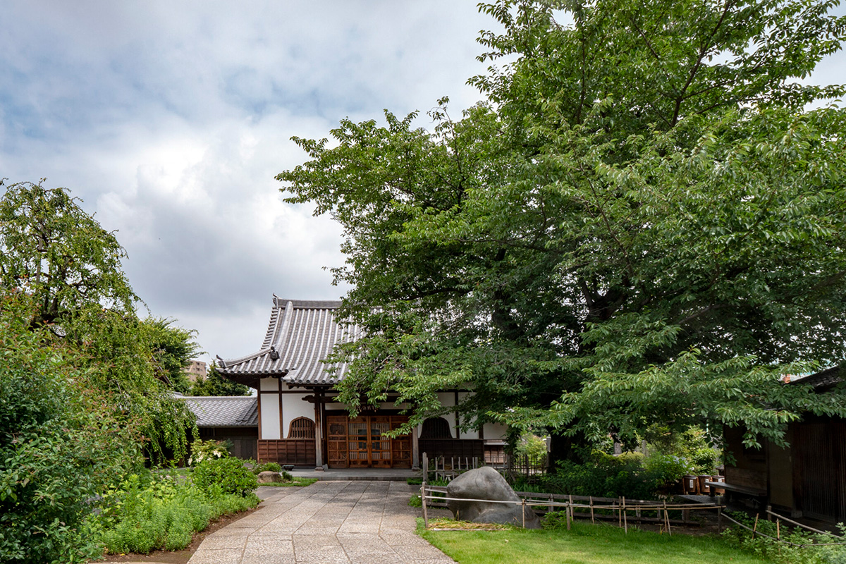 駒込の光源寺へ