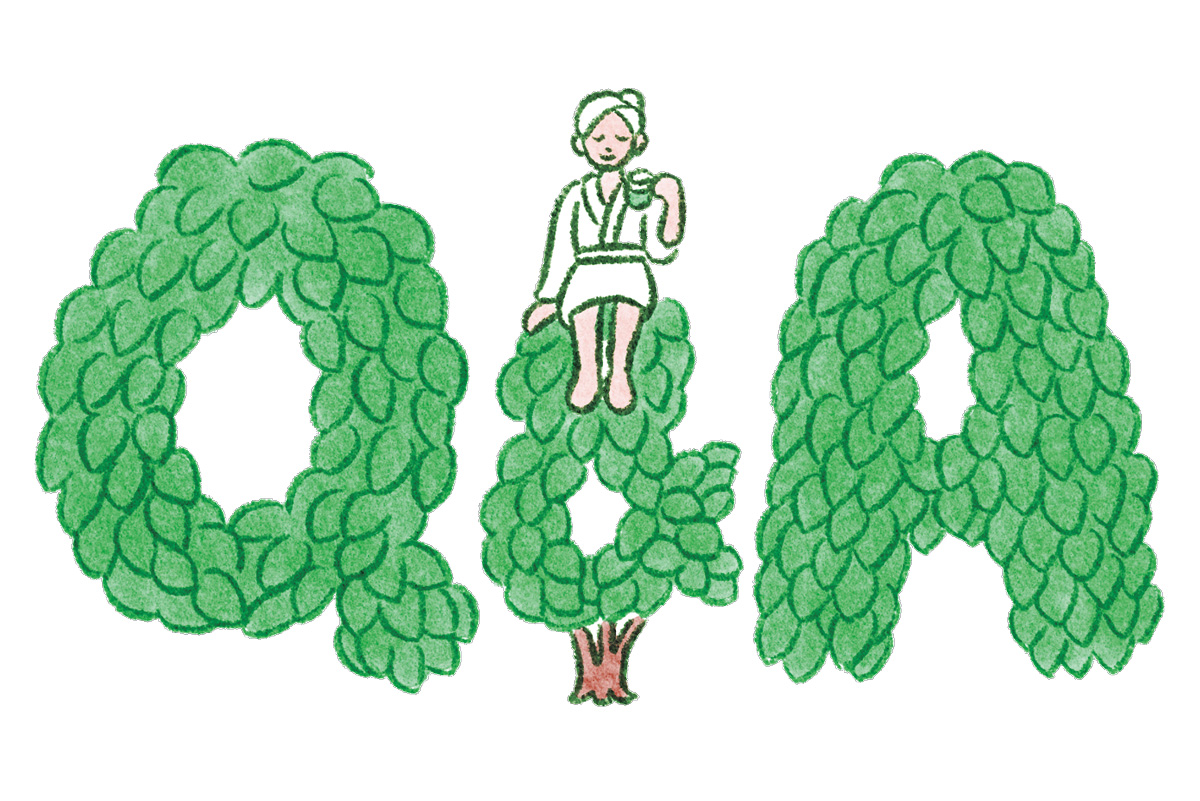 覚えることは3つだけ。お茶がおいしくなる淹れ方。
