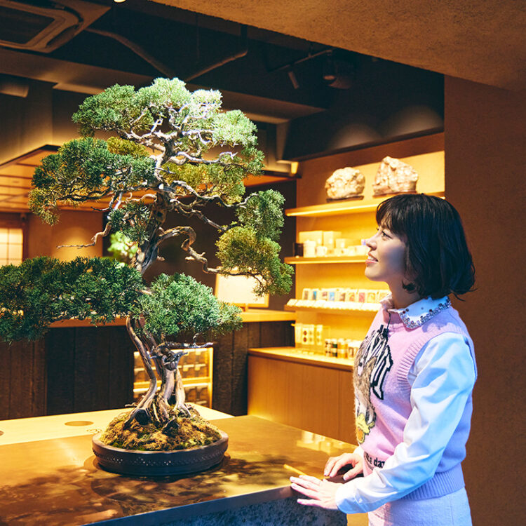 樹齢200年の盆栽。その存在感と佇まいに神田さんも惚れ惚れ。