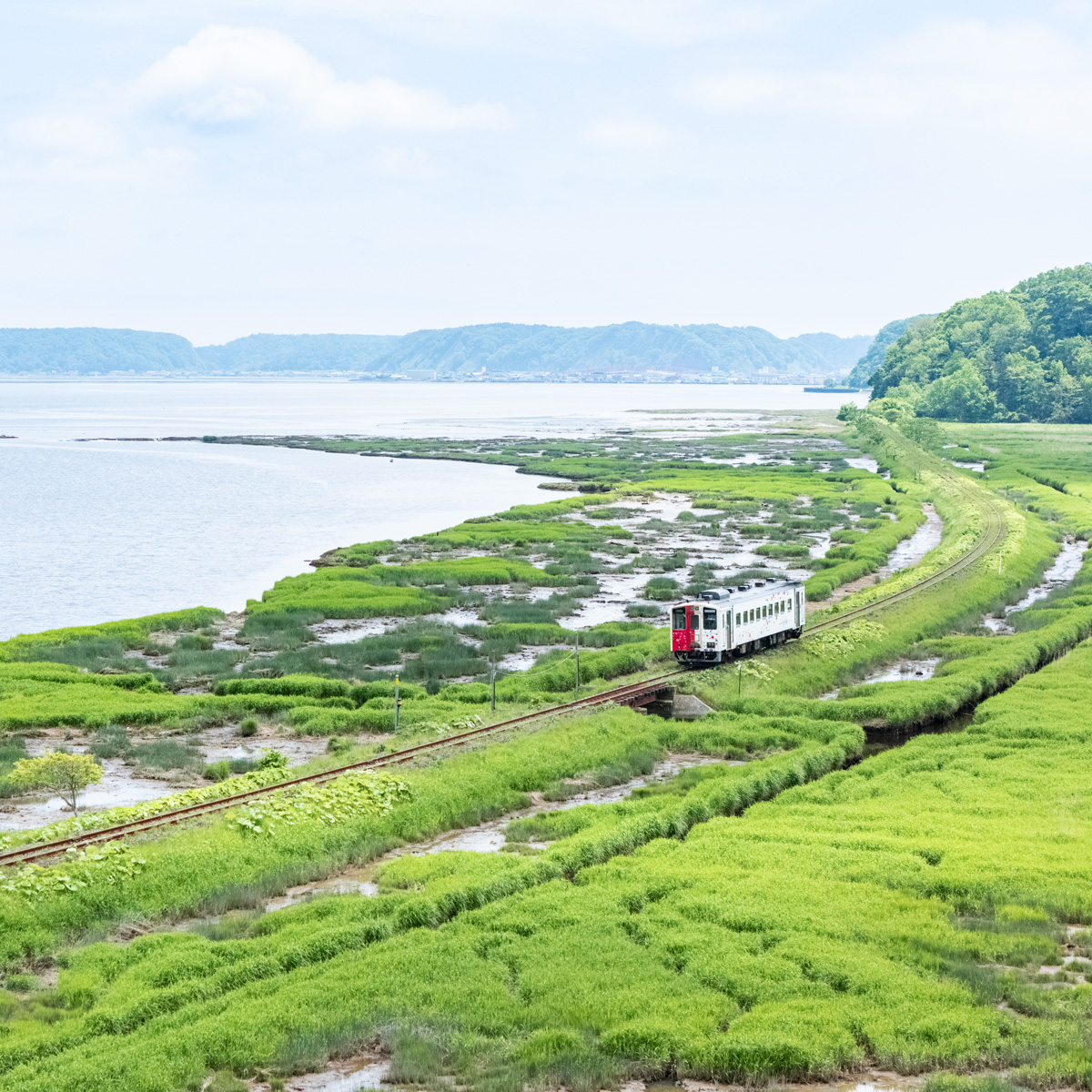 01_219_dji__20260616123748_0061_d 01_219_dji__20260616123748_0061_d