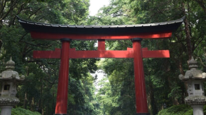 凛と咲く菊花を愛で邪気を祓う。重陽 (ちょうよう) の節句に健康長寿の祈りを。