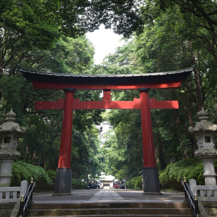 表参道の一之鳥居。鮮やかな朱色が緑に映える。 表参道の一之鳥居。鮮やかな朱色が緑に映える。